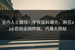 业内人士震惊！午夜猛料曝光，麻豆app官网全网炸锅，内幕大揭秘