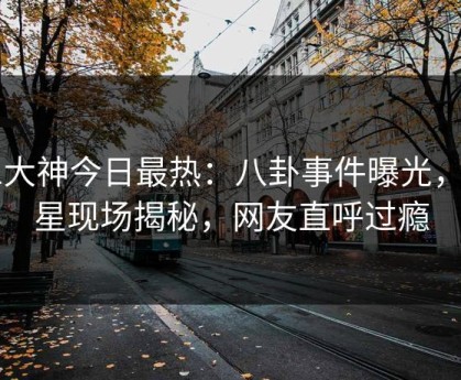 91大神今日最热：八卦事件曝光，明星现场揭秘，网友直呼过瘾