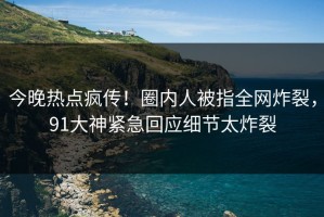 今晚热点疯传！圈内人被指全网炸裂，91大神紧急回应细节太炸裂