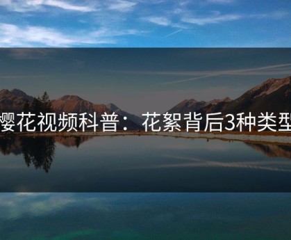 樱花视频科普：花絮背后3种类型