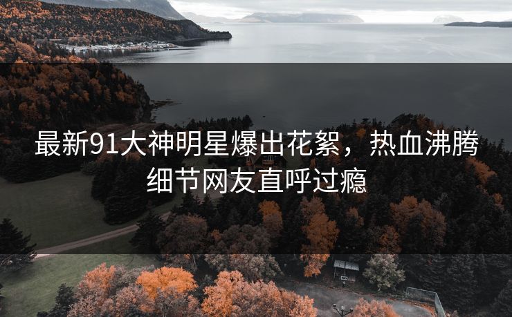 最新91大神明星爆出花絮，热血沸腾细节网友直呼过瘾