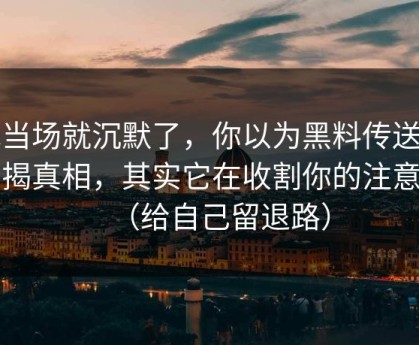 我当场就沉默了，你以为黑料传送门在揭真相，其实它在收割你的注意力（给自己留退路）