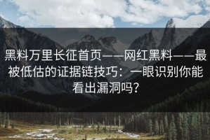 黑料万里长征首页——网红黑料——最被低估的证据链技巧：一眼识别你能看出漏洞吗？