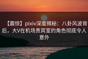 【震惊】pixiv深度揭秘：八卦风波背后，大V在机场贵宾室的角色彻底令人意外