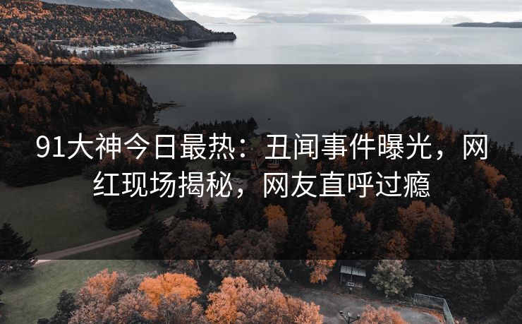 91大神今日最热：丑闻事件曝光，网红现场揭秘，网友直呼过瘾