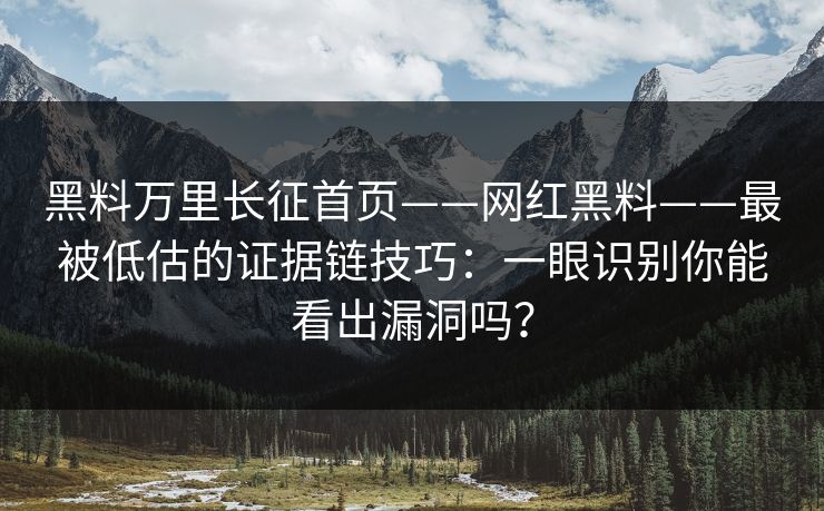 黑料万里长征首页——网红黑料——最被低估的证据链技巧：一眼识别你能看出漏洞吗？